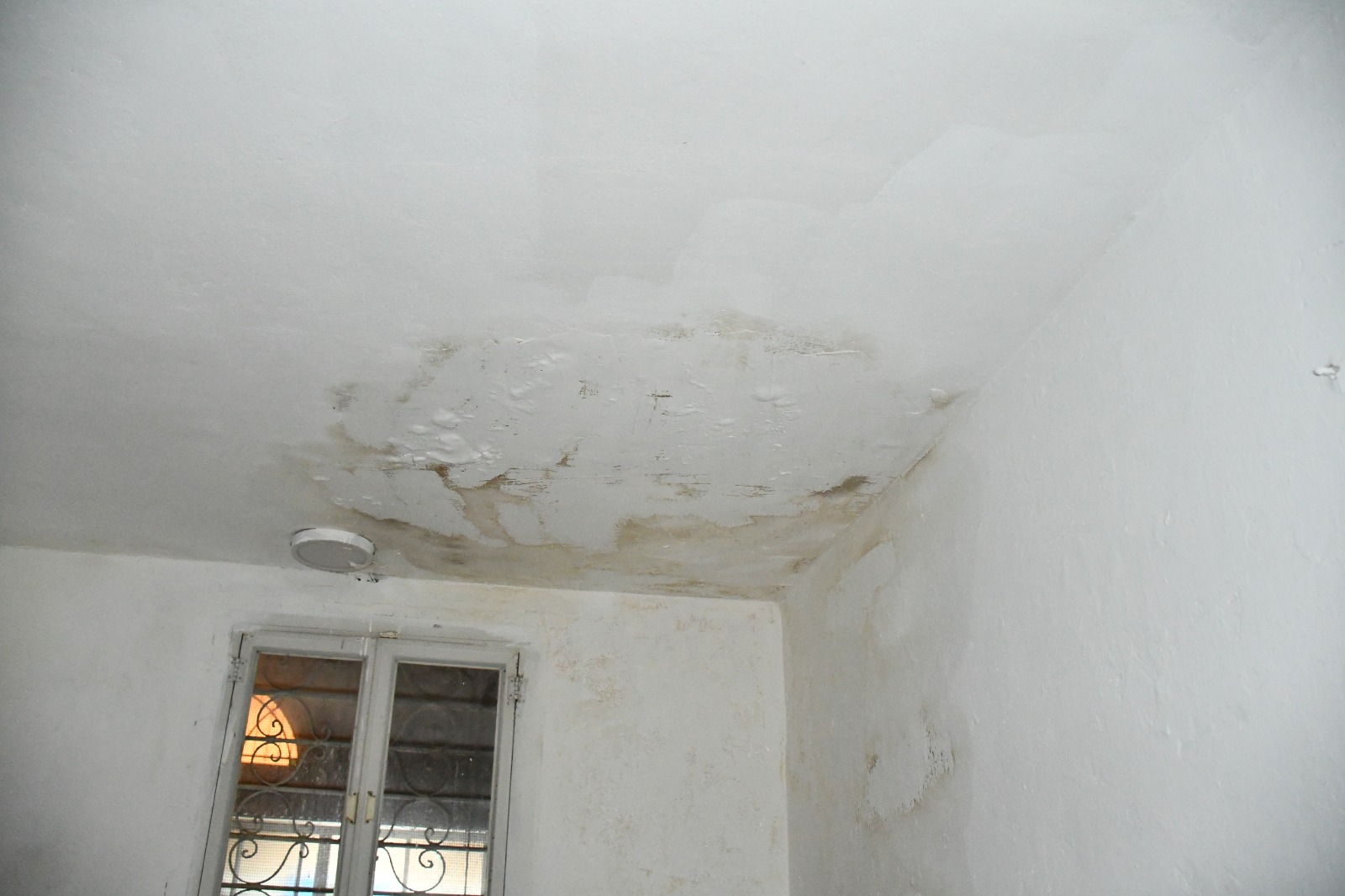 WhatsApp Image 2020-02-10 at 11.22.38 AM.jpeg.jpeg